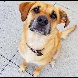 Meet your Posher, Dylan